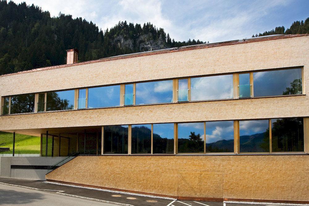 Hotel Alpenrose Ebnit 多恩比恩 外观 照片
