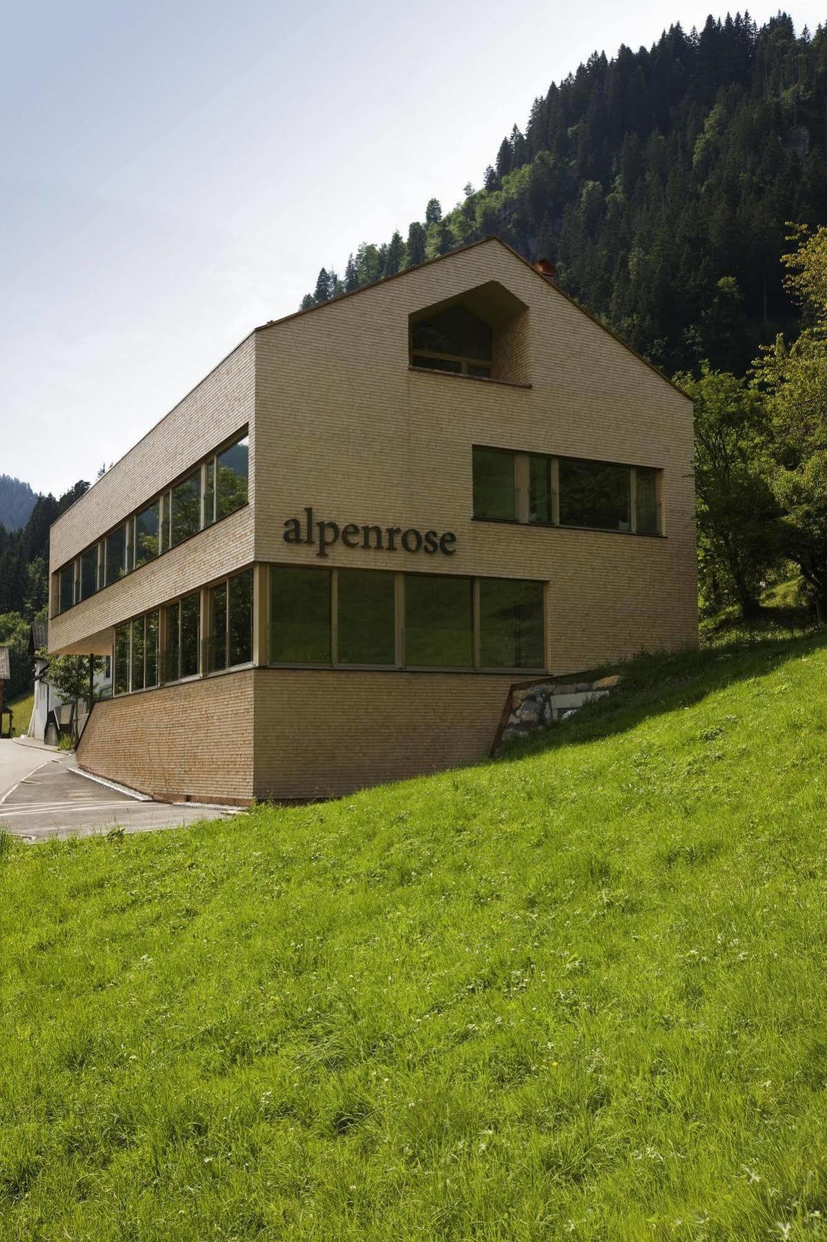 Hotel Alpenrose Ebnit 多恩比恩 外观 照片